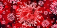 Запомните важные факты про коронавирус